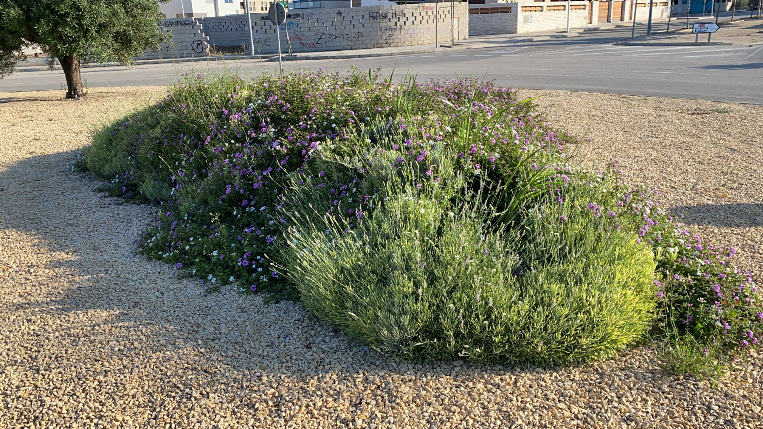 263e4434 b28a 4aa9 946b c137d12f9f62