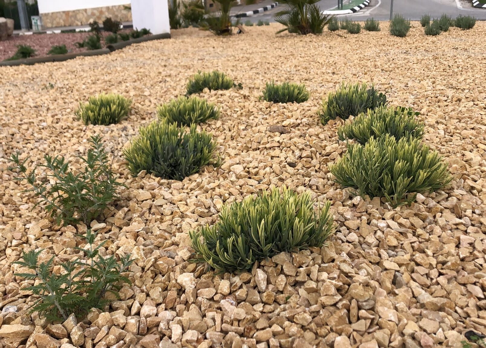 6f2831af 5ece 447a 9e7f 4bb915df9d06