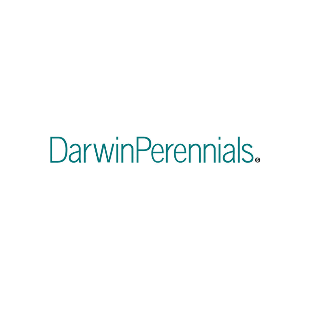 darwinperennials