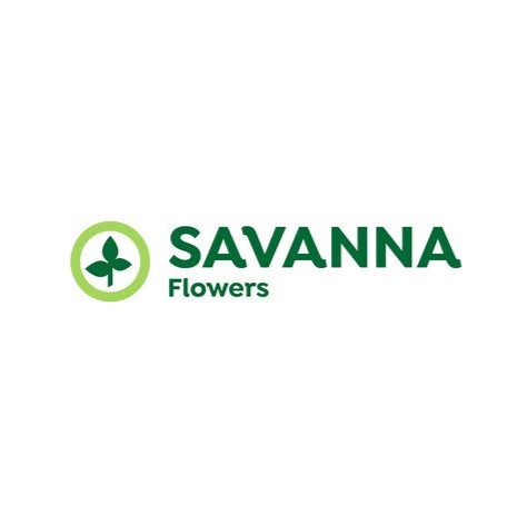 csm savanna logo